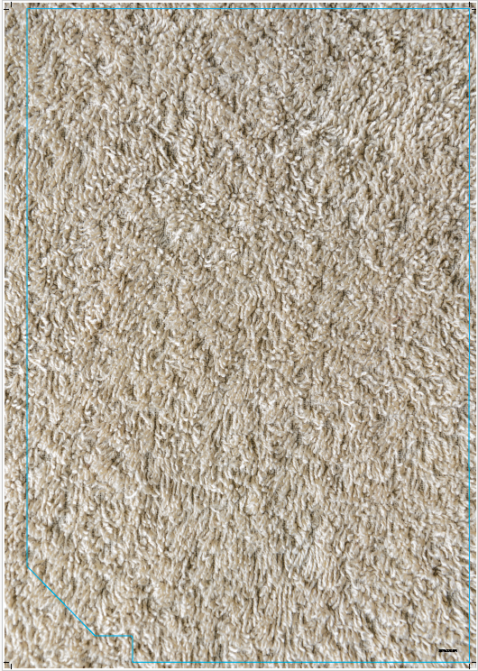 RYOBI Floorcare Kiosk Top Deck Carpet Left - Carpet Washer