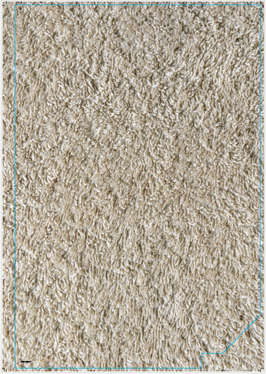 RYOBI Floorcare Kiosk Top Deck Carpet Right - Spot Cleaner